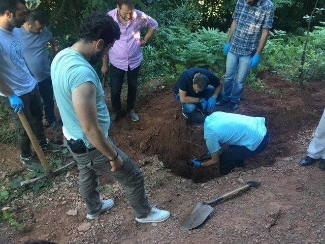 3 yıl sonra cesedine ulaşılan iş adamını öldürülmesi olayında kan donduran ifadeler