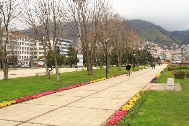 Ordu’da 1,5 milyon çiçek toprakla buluştu