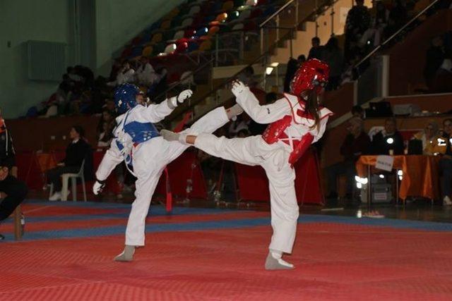 Taekwondo’da 14 madalya