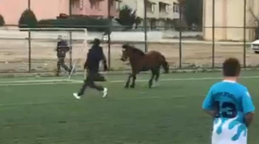 Bursa'da ma&ccedil; sırasında sahaya at girdi