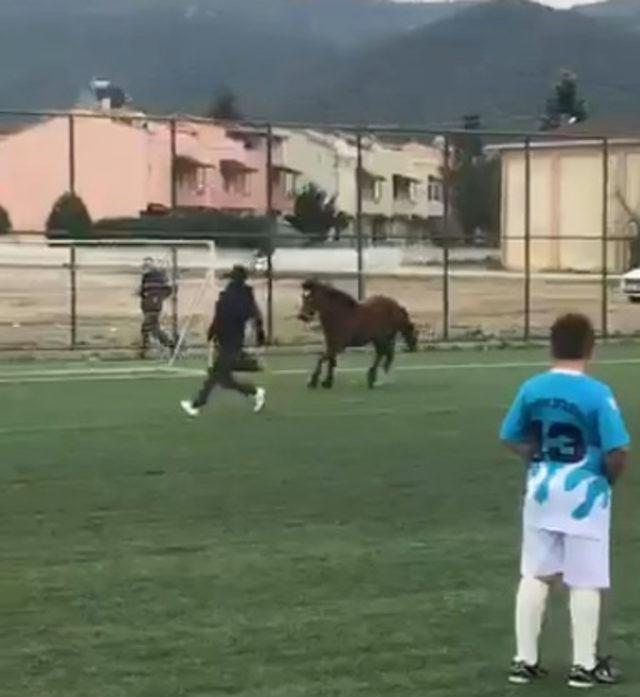 Futbol maçında sahaya at girdi