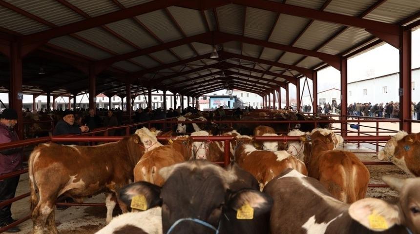 Canlı Hayvan Pazarının a&ccedil;ılışı yapıldı