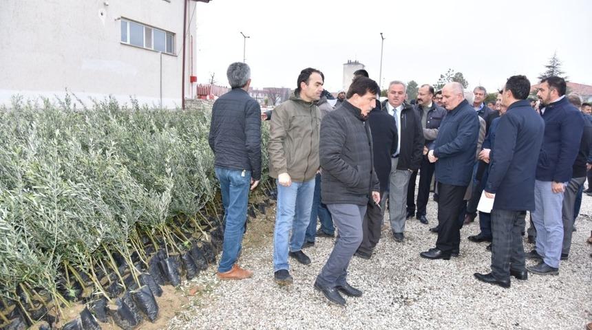 Karaman’da çiftçilere 72 bin adet fidan dağıtıldı