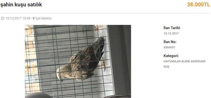 Görenler hayrete düşüyor! İnternetten 85 bin liraya satılıyor G4