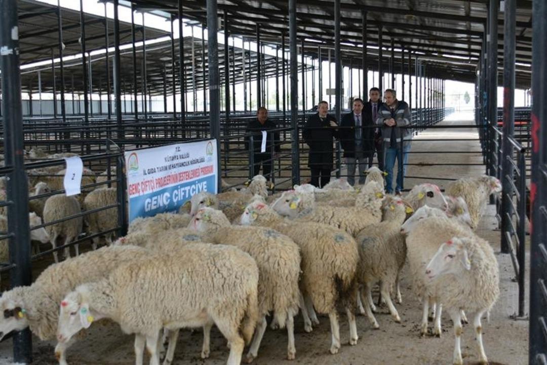 K&uuml;tahya&rsquo;da Gen&ccedil; &Ccedil;ift&ccedil;ilere 3 yılda 19 Milyon 410 bin TL hibe &ouml;demesi