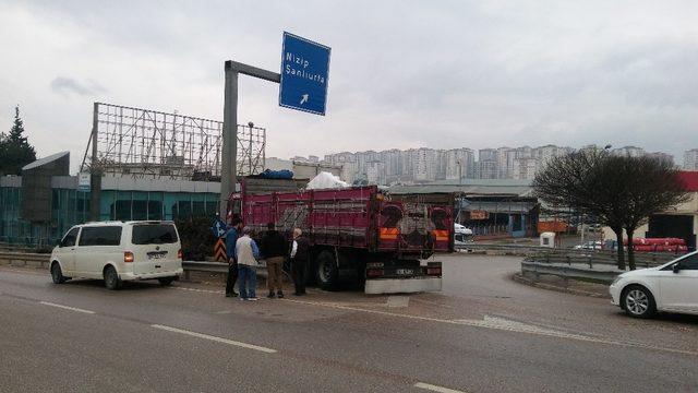 Yön tabelasına çarpan kamyon sürücüsü yaralandı