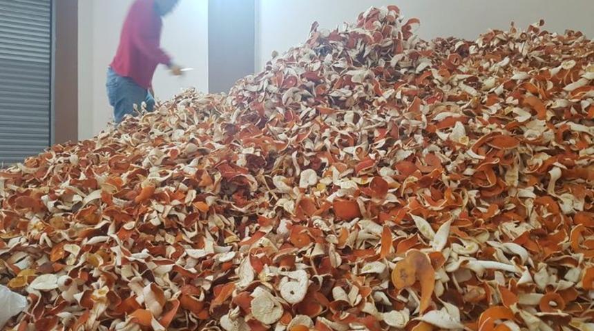 Yurt dışından talep yağıyor! Meyvesinden 6 kat daha pahalı