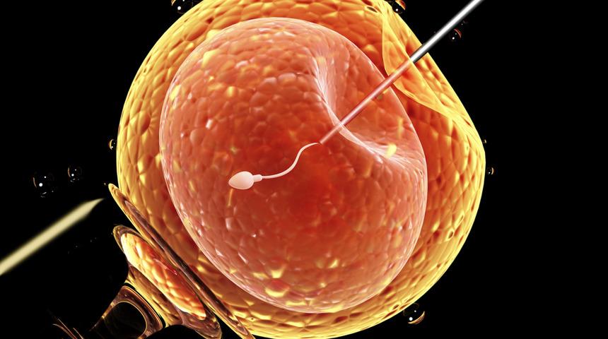 T&uuml;p bebek tedavisinde en sık sorulan soru: &ldquo;Embriyo transferi sonrasında ne yapmalıyım?&rdquo;