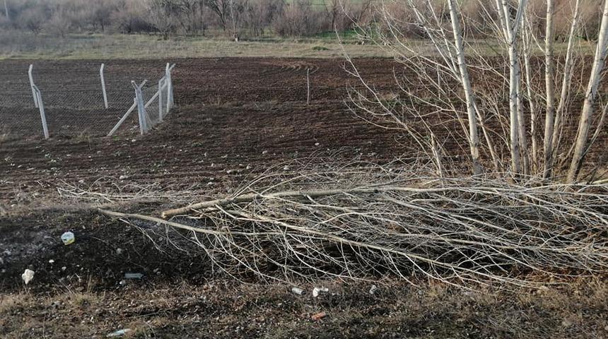 Ticari ara&ccedil; şarampole u&ccedil;tu: 3 yaralı