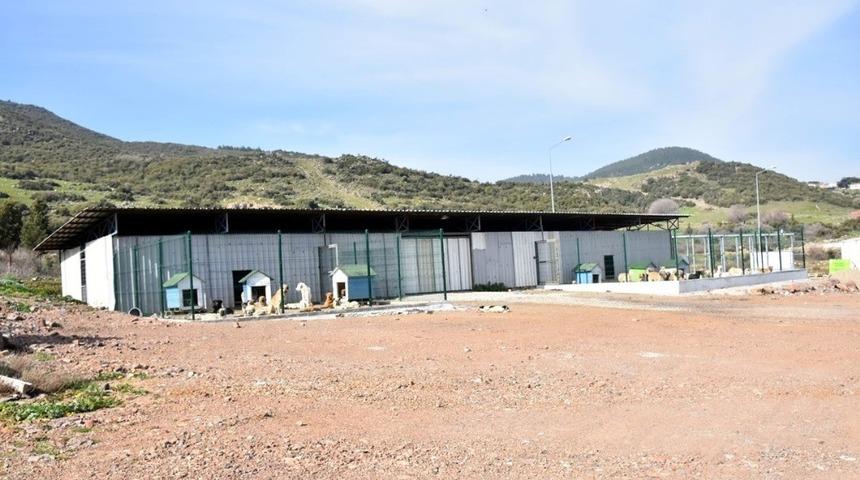 Aliağa&rsquo;ya moderne hayvan bakımevi