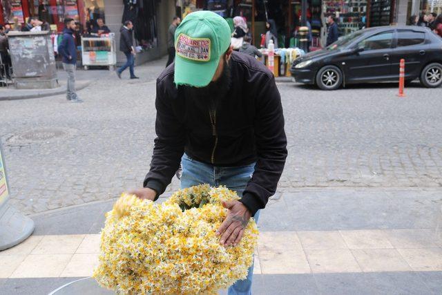 Diyarbakır sokakları nergis çiçeği kokmaya başladı