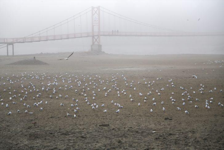 Adana sis altında! G4