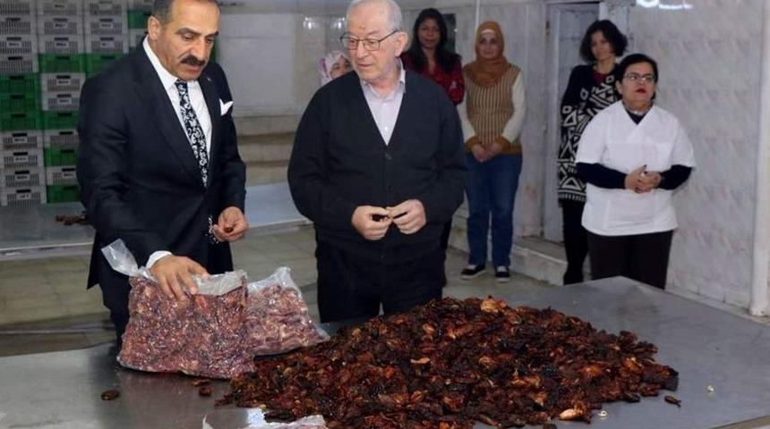 Yaş meyve sebze ihracat&ccedil;ıları 2019&rsquo;da 1 milyar dolar hedef koydu