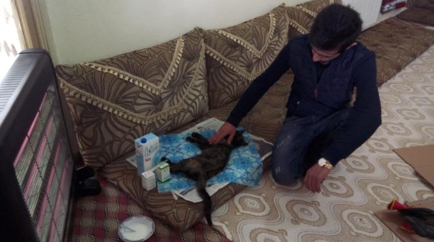 &Ccedil;atıda sıkışan kediyi kurtararak evinde misafir etti