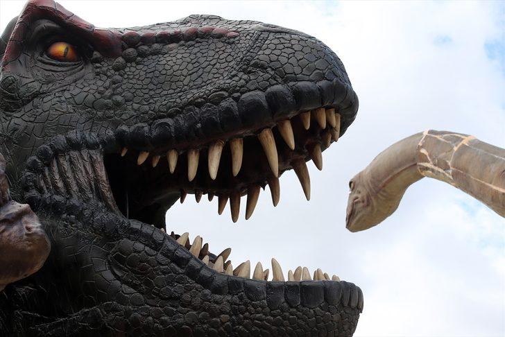 'Wonderland Eurasia' 20 Mart'ta açılıyor G5