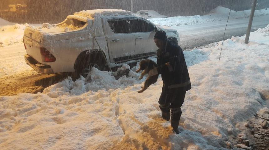 Donmak &uuml;zere olan yavru k&ouml;pek kurtarıldı