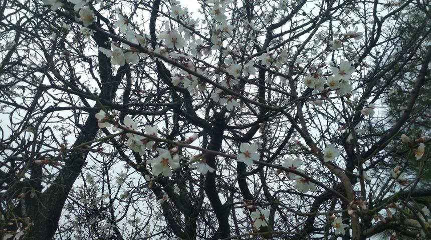 Kozluklular iki mevsimi bir arada yaşıyor