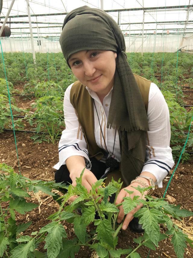 Pancar makinesine kaptırdığı saçları kopan Binnaz, aylar sonra traktör kullandı