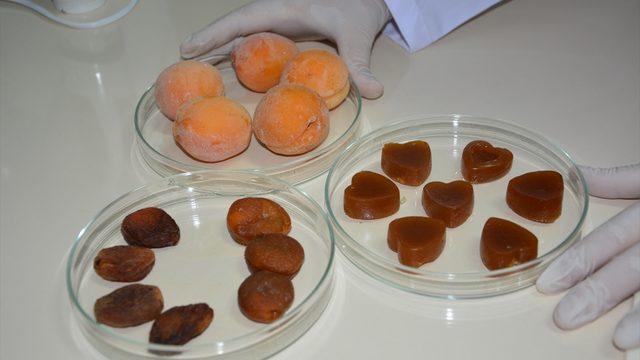 Kayısıdan 'doğal jelibon' üretildi
