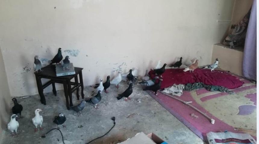 G&uuml;vercin &ccedil;alan hırsızlık ş&uuml;phelileri yakalandı