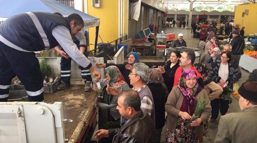 Efeler Belediyesi vatandaşlara mazı fidanı dağıttı