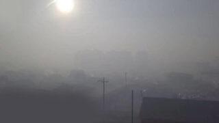 Gelecekte hayatımız böyle mi olacak?