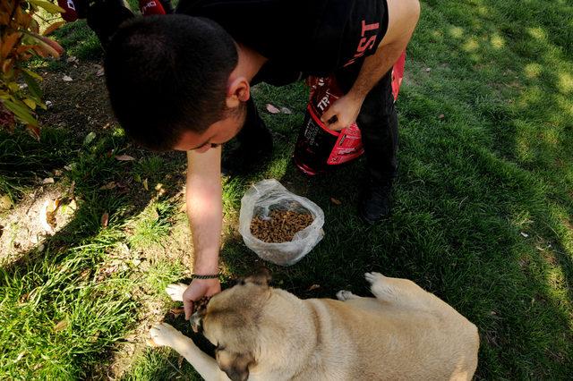 Kedi ve köpek maması getirene portre çizim bedava