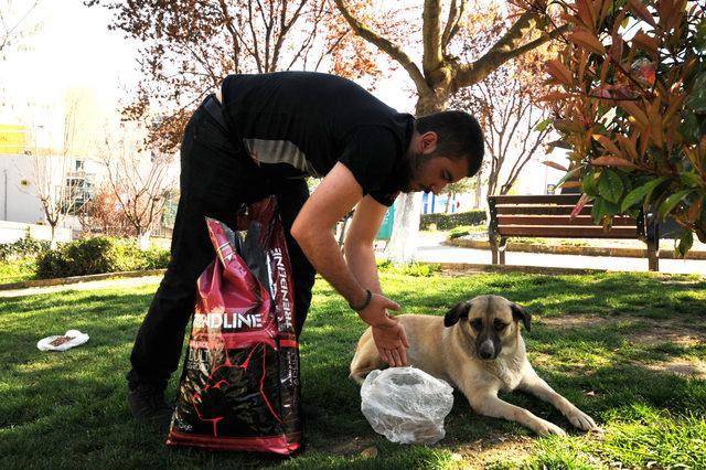 Kedi ve köpek maması getirene portre çizim bedava