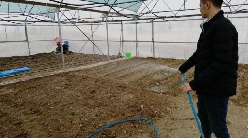 Okulda sebze yetiştiriyorlar