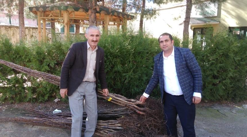 Sason&rsquo;da 4 bin adet ceviz fidanı dağıtıldı