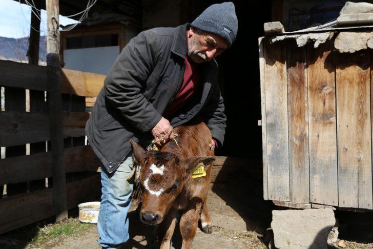 Herkes onu görmek için geliyor! Bir ilçe bunu konuşuyor G3