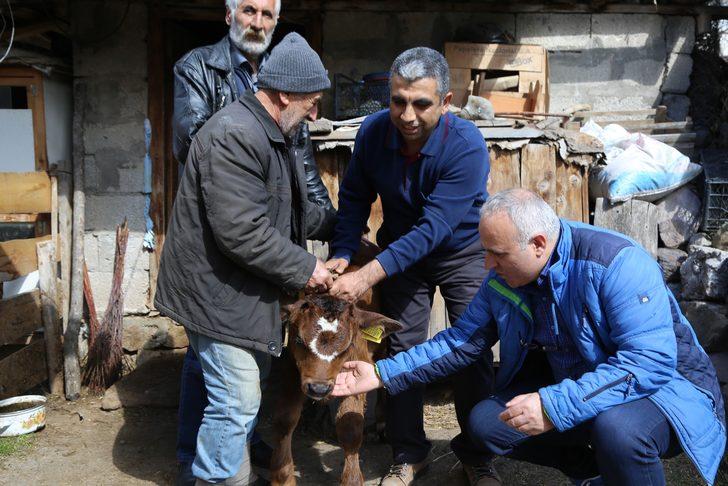 Herkes onu görmek için geliyor! Bir ilçe bunu konuşuyor G4