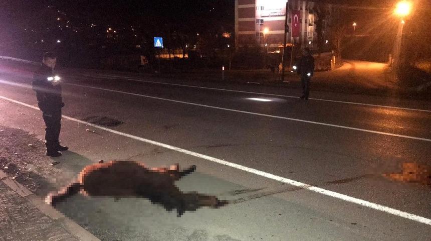 Yenice&rsquo;de otomobilin &ccedil;arptığı at telef oldu