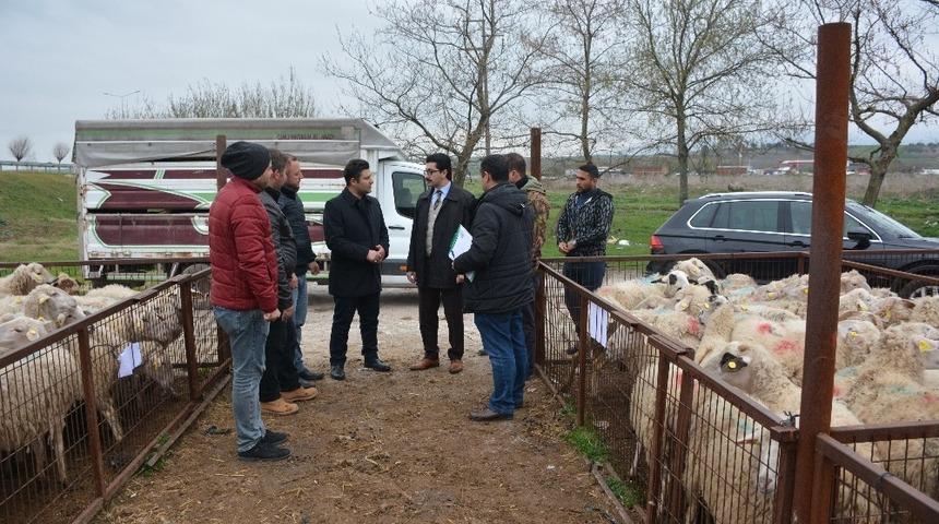 2 gen&ccedil; &ccedil;ift&ccedil;iye 68 k&uuml;&ccedil;&uuml;kbaş hayvan