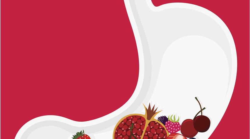 Besinlerin yolculuğunu merak edenler: Hangi besini ne kadar s&uuml;rede sindiririz?