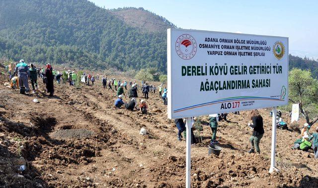 Bakan Yardımcısı Aksu: Erozyonla mücadelede dünyanın en başarılı ülkesiyiz