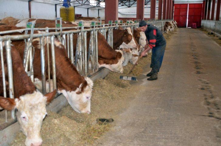 Devlet desteği ile çiftliğin kapasitesini arttırdı G1