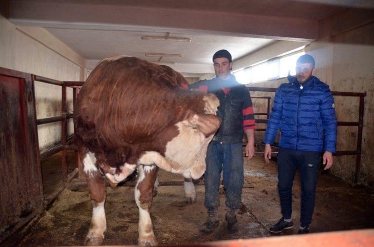 Devlet desteği ile çiftliğin kapasitesini arttırdı G2