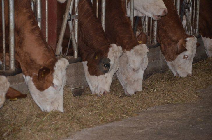 Devlet desteği ile çiftliğin kapasitesini arttırdı G3