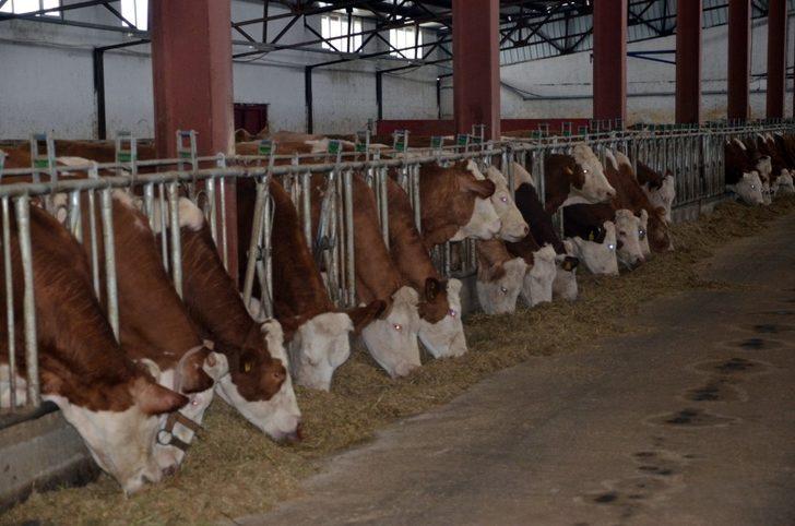 Devlet desteği ile çiftliğin kapasitesini arttırdı G4