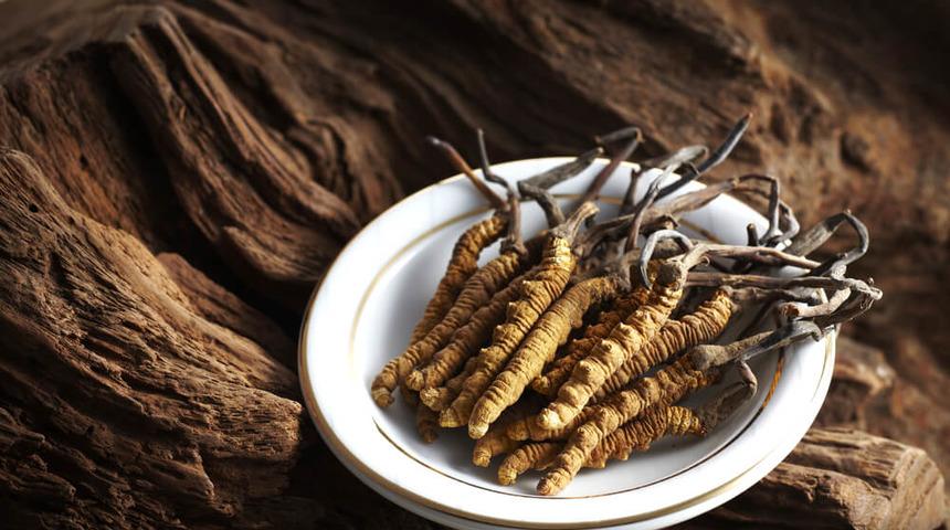 Bir kilosu 20 bin dolar! Ne olduğunu duyan inanamıyor&hellip;