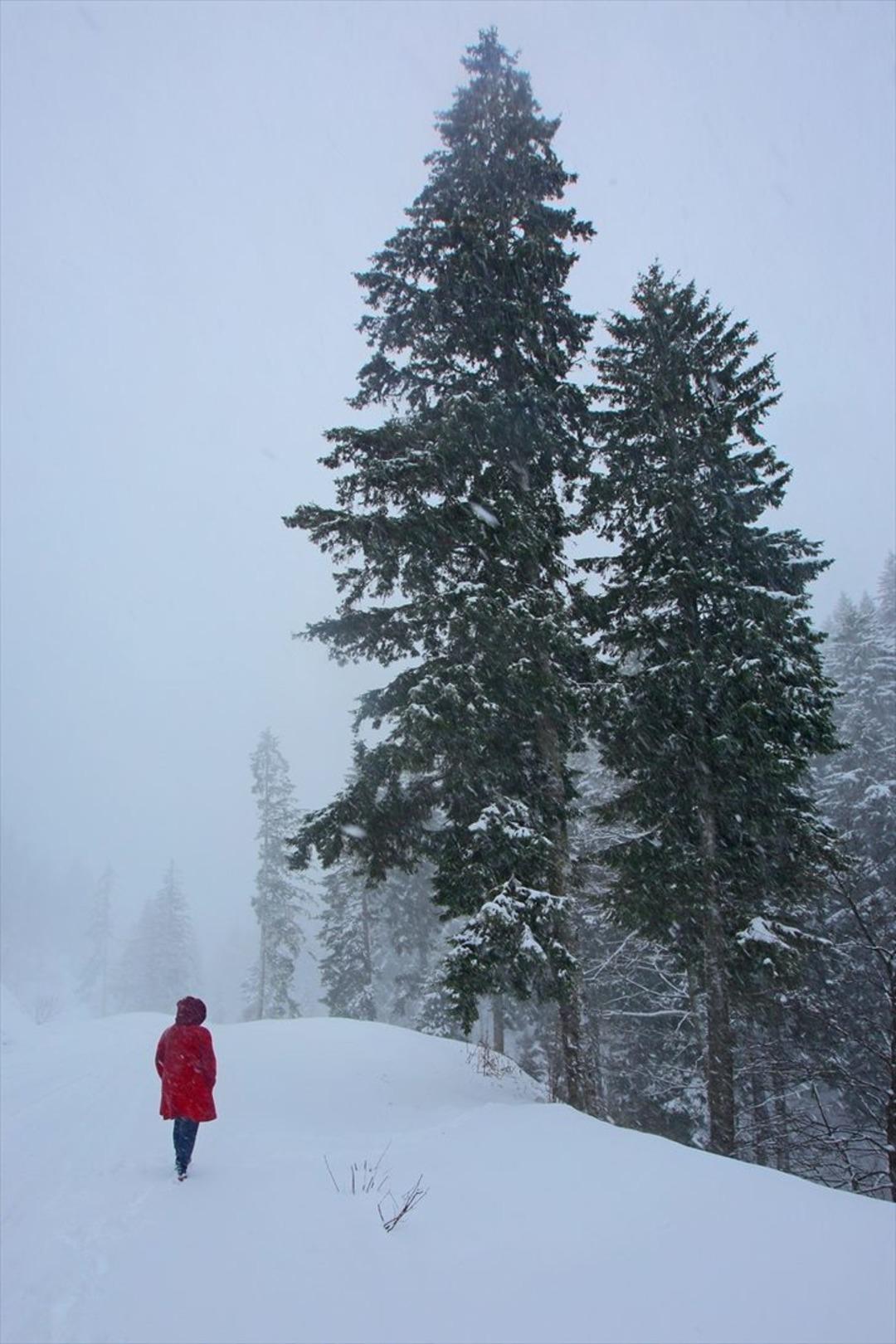 Giresun yaylalarından kartpostallık g&ouml;r&uuml;nt&uuml;ler 