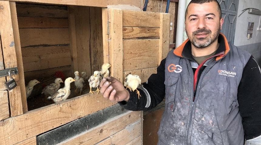 Hayvan sevgisini iş yerine taşıdı