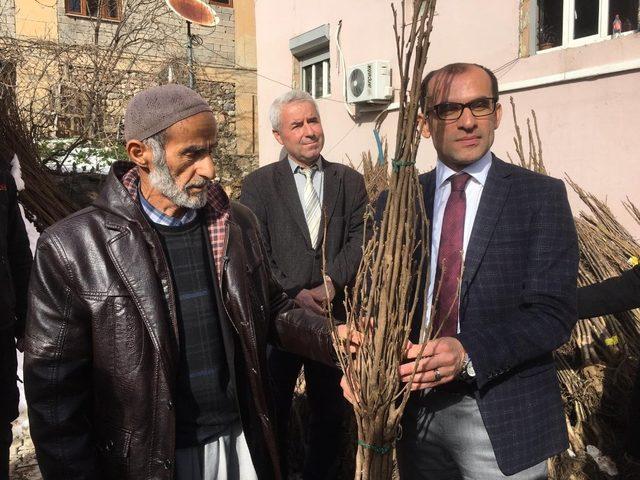 Çukurcalı çiftçilere 10 bin adet ücretsiz meyve fidanı dağıtımı yapıldı