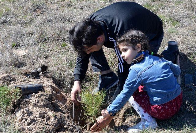 Jandarmadan ağaçlandırma seferberliği