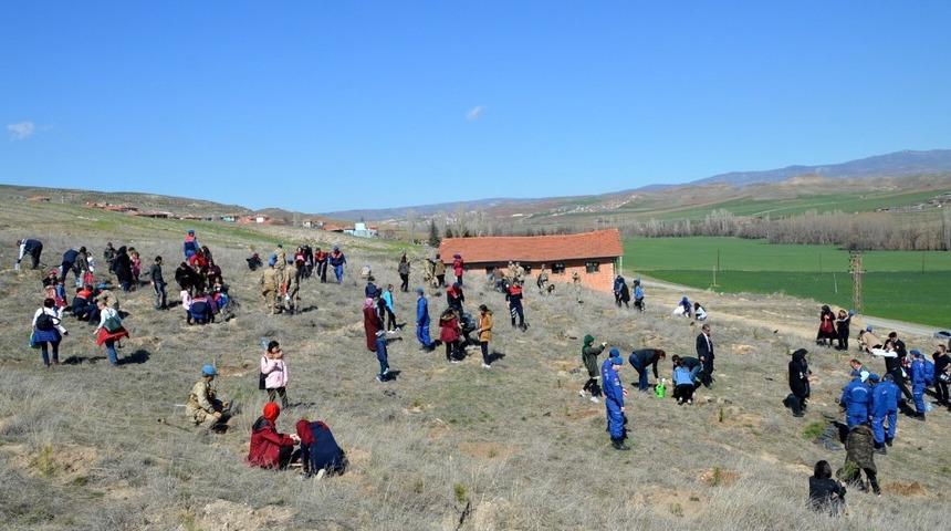 Jandarmadan ağa&ccedil;landırma seferberliği