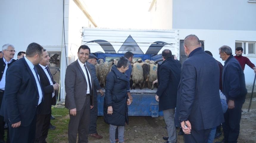 Siirt&rsquo;te gen&ccedil; &ccedil;ift&ccedil;ilere 16 milyon 590 bin hibe desteği verildi