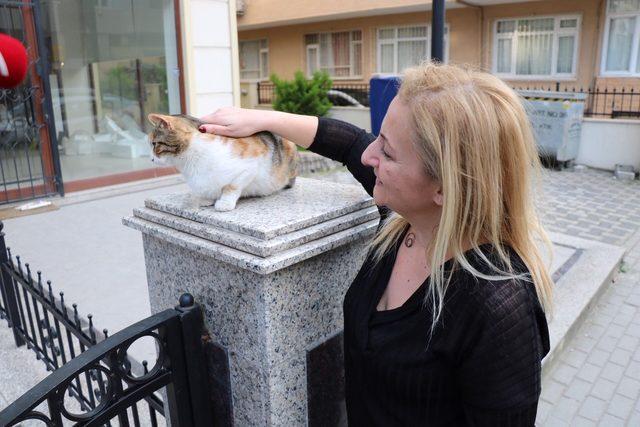 Kadıköy'de kediye saldıran kişi ile kavga eden gencin annesi o anları anlattı