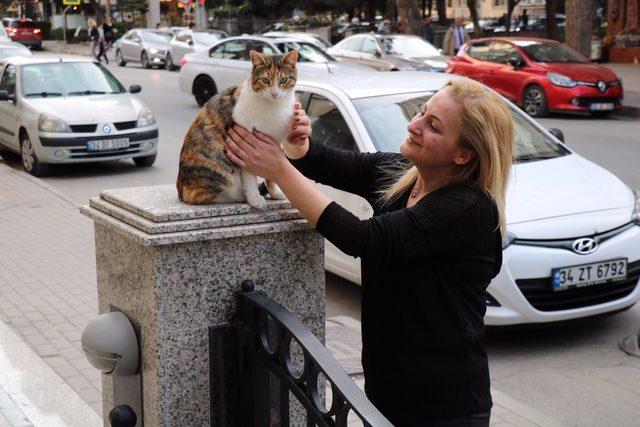 Kadıköy'de kediye saldıran kişi ile kavga eden gencin annesi o anları anlattı