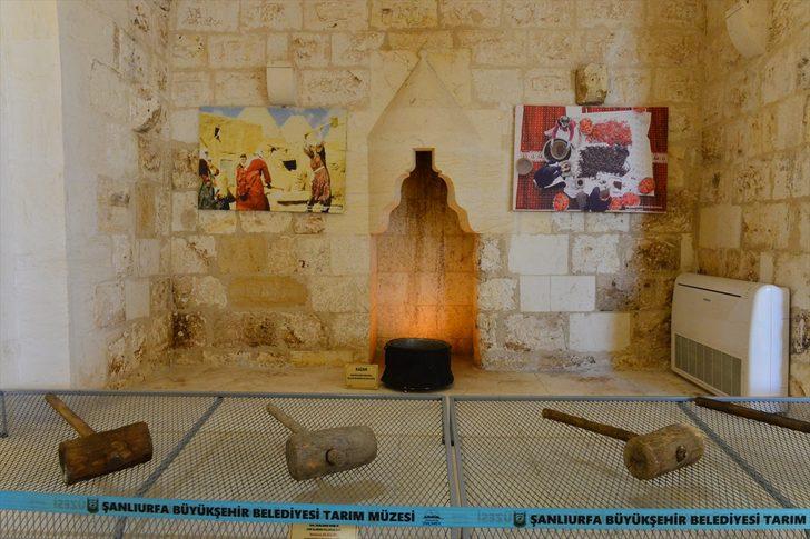 'GAP'ın başkenti' tarım müzesine kavuştu  G2